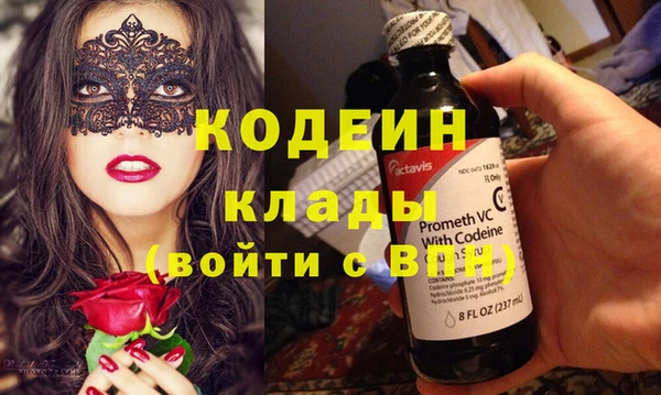 ГАЛЛЮЦИНОГЕННЫЕ ГРИБЫ Арсеньев