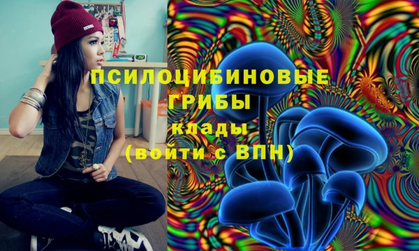 эйфоретик Армянск