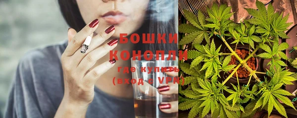 ГАЛЛЮЦИНОГЕННЫЕ ГРИБЫ Арсеньев