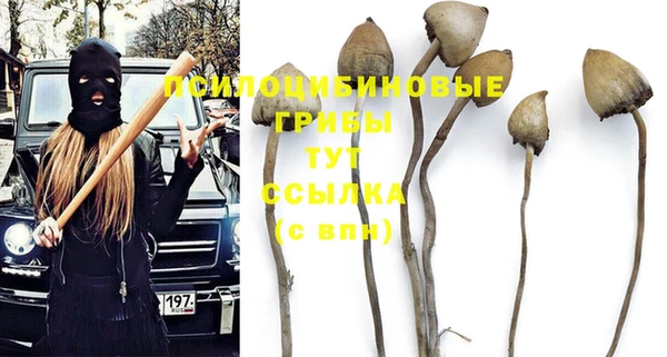 эйфоретик Армянск