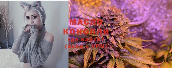 шишки Аркадак
