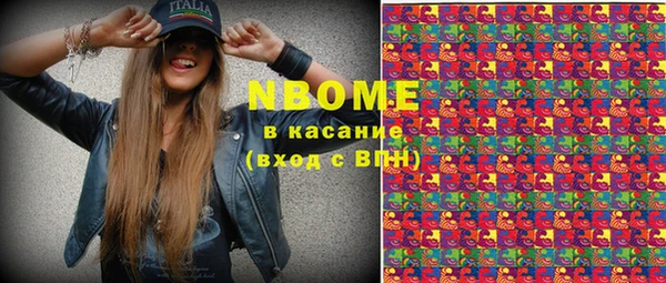 шишки Аркадак