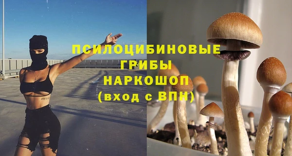 ГАЛЛЮЦИНОГЕННЫЕ ГРИБЫ Арсеньев
